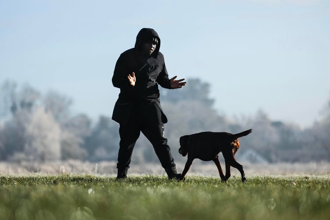 ASCENDK9 Professional Dog Training Services